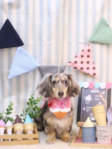 20250503瑠菜ちゃん